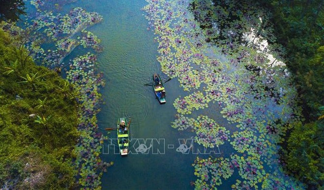 Empresas egipcias reabren circuitos turísticos a Vietnam
