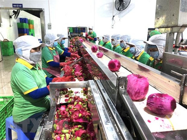Inauguración oficial de la Cámara de Comercio de Israel en Vietnam