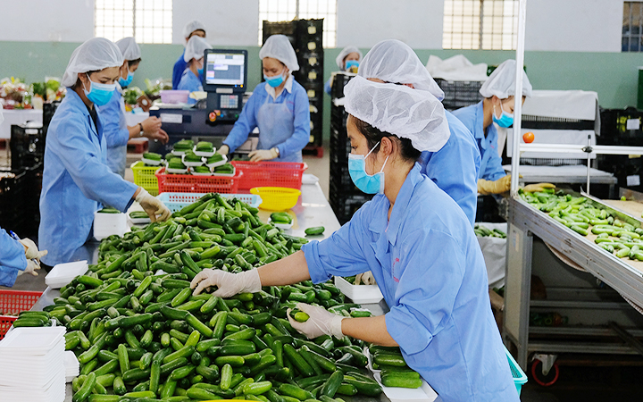 A la búsqueda de incrementar las exportaciones a Corea del Sur