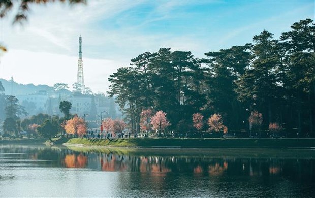 Arranque de la semana artística “Da Lat de ensueño”