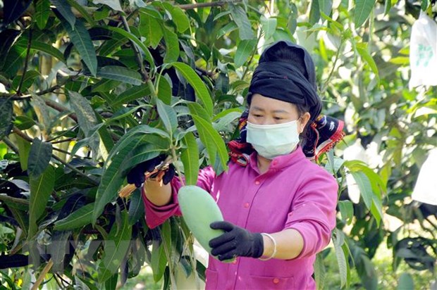 Las exportaciones de frutas y vegetables cambian de mercado