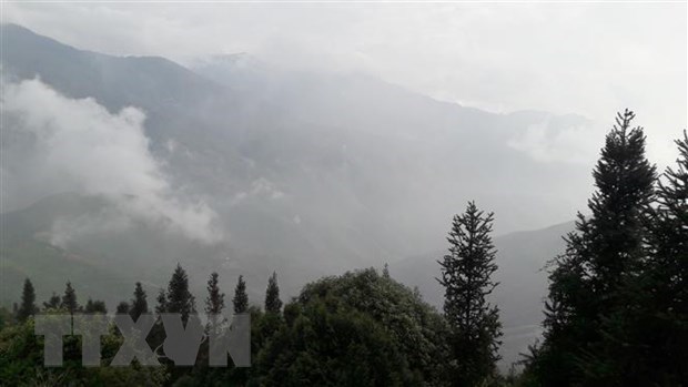 “Caza de nubes” en el norte de Vietnam experiencia inolvidable para turistas