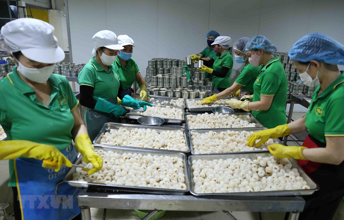Aumentar el valor de los productos vietnamitas