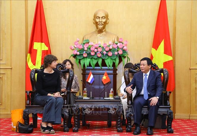 La Academia Nacional de Política Ho Chi Minh impulsa la cooperación exterior