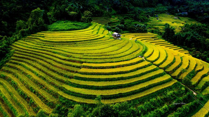 La pacífica belleza de Nam Cang, Sapa