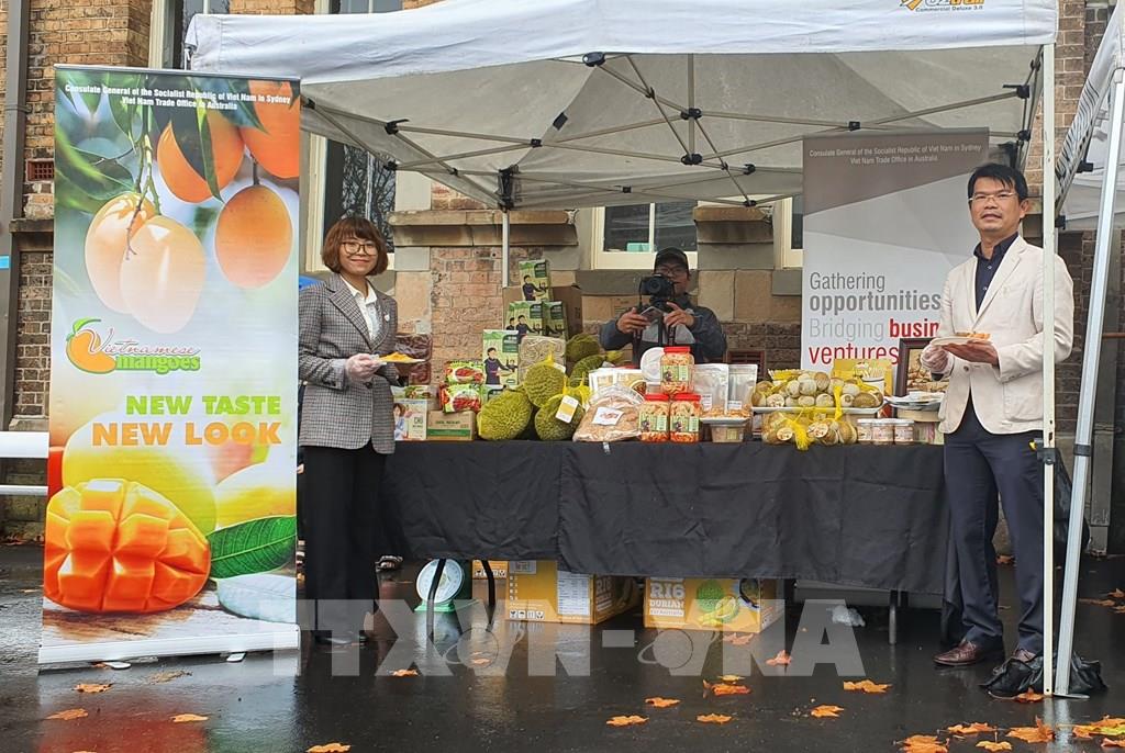 Fruto de chicozapote congelado de Vietnam promocionado en Australia