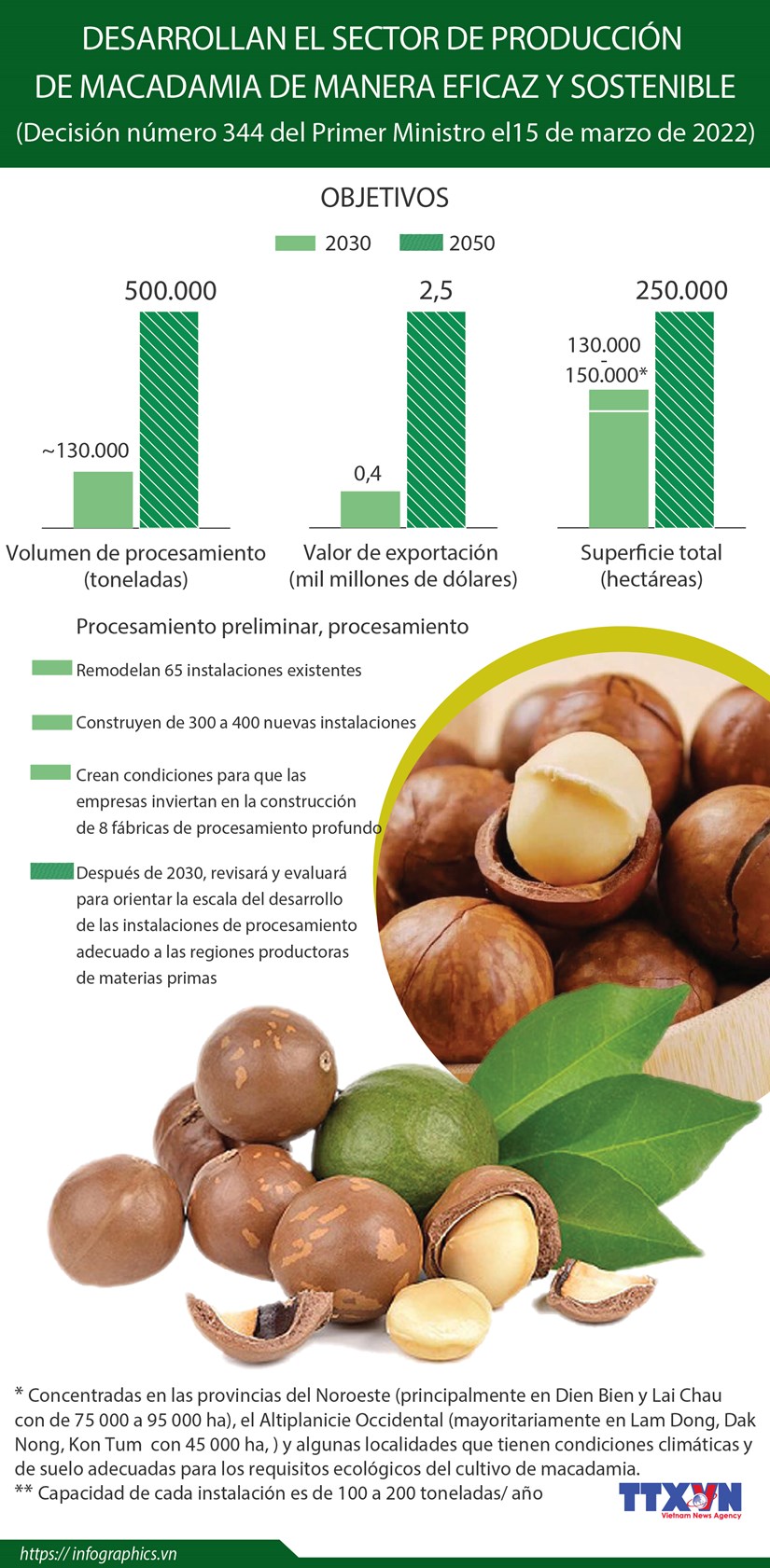 El sector de producción de macadamia hacia un desarrollo eficaz y sostenible