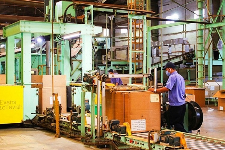 Numerosas empresas surgen durante la nueva normalidad