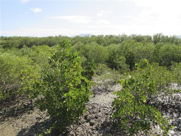 Los intelectuales vietnamitas en Alemania contribuyen al desarrollo de Vietnam