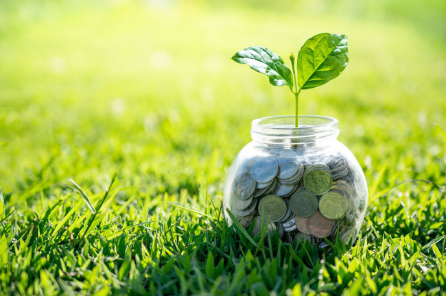 Vietnam preparado para el salto al crecimiento verde