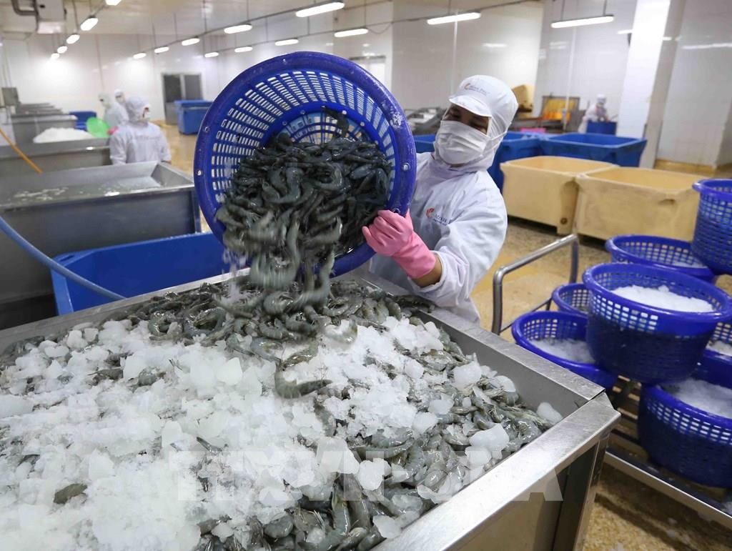Crece comercio Vietnam-Brasil