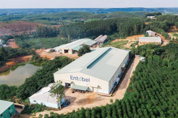 Mekong Capital y Dragon Capital invierten 30 millones de dólares en la producción de alimentos para animales a partir de insectos