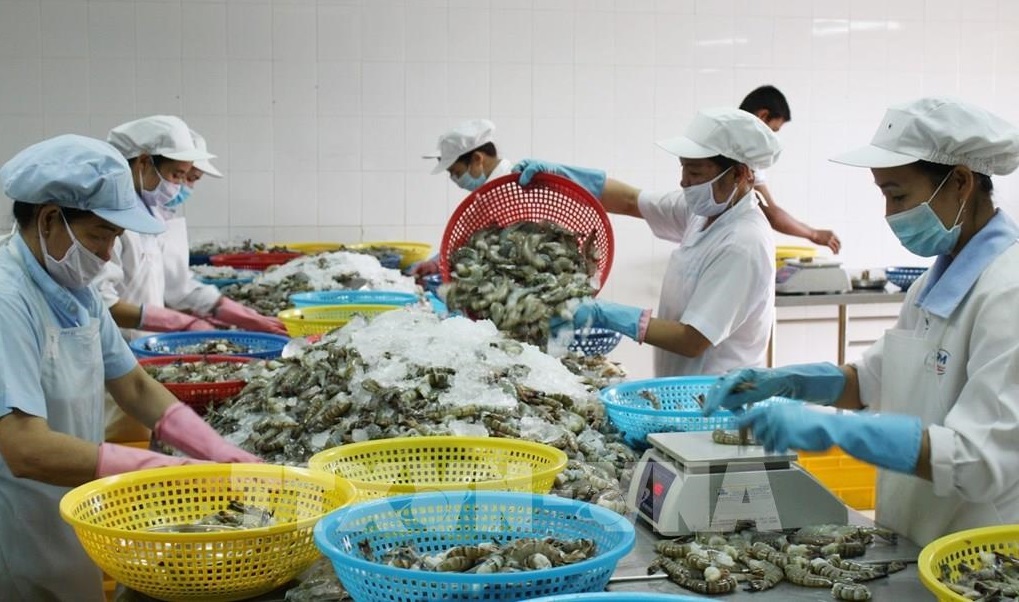 Exportaciones de productos acuícolas vietnamitas aumentan entre enero- abril