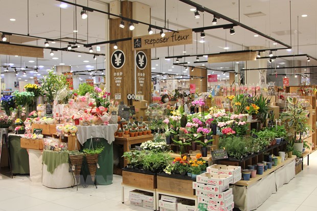 Flores de Vietnam son preferidas de consumidores japoneses