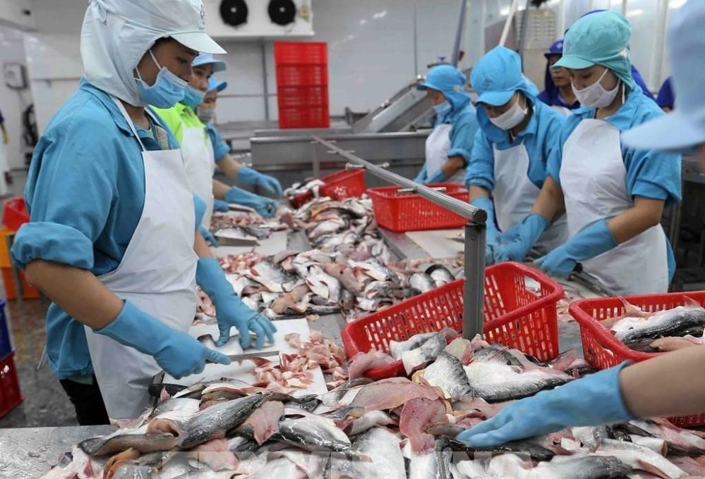 Seis fábricas de procesamiento de pescado Tra elegibles para exportar a Estados Unidos