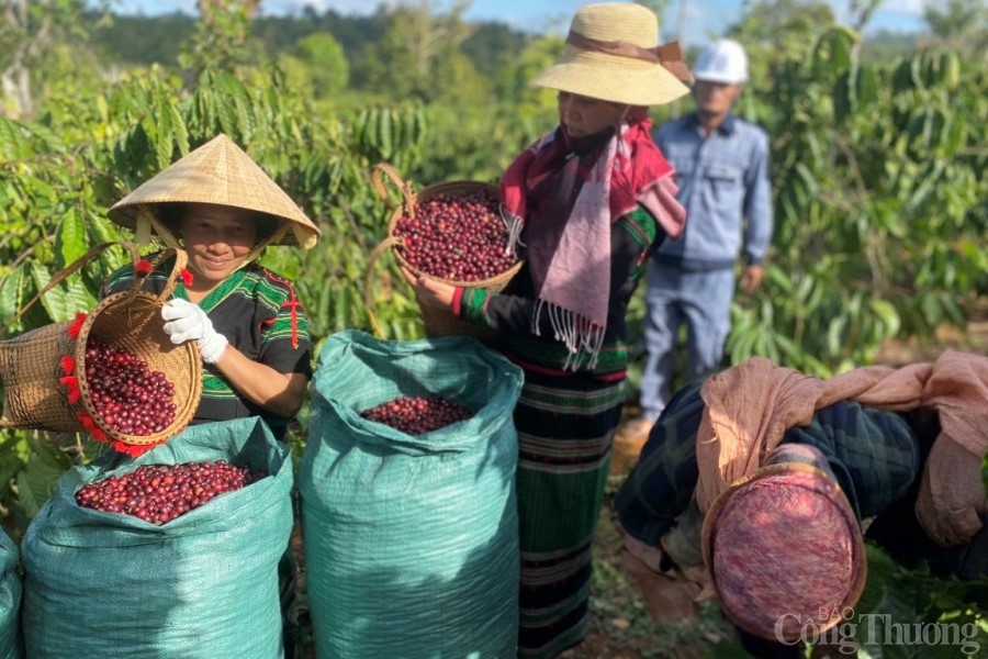 La Región del Altiplano Central busca conectar la producción y el consumo de productos agropecuarios