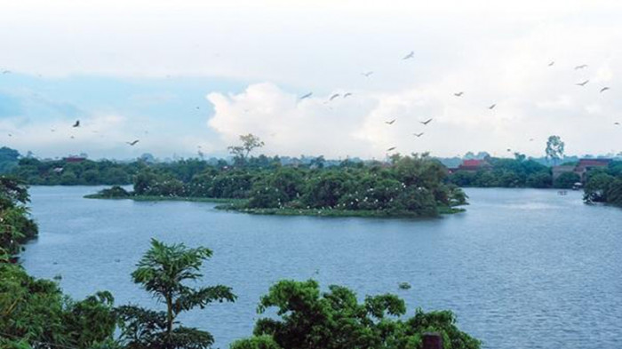 El reino de las cigüeñas en Hai Duong