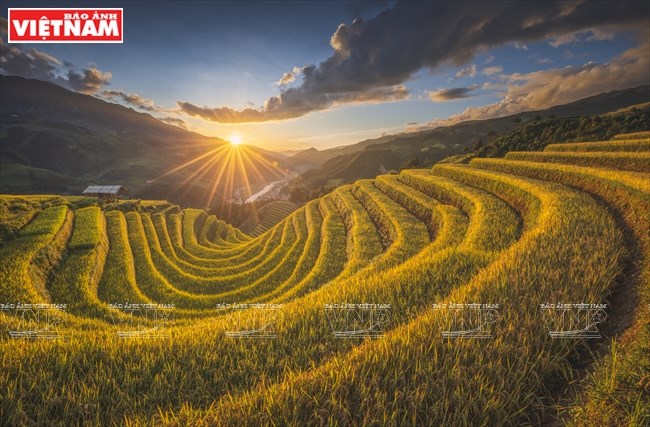 Instantáneas impresionantes sobre la naturaleza vietnamita