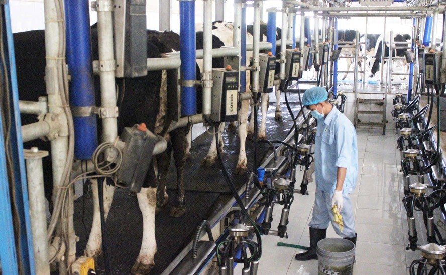 Hanói promueve la aplicación de modelos agrícolas de alta tecnología