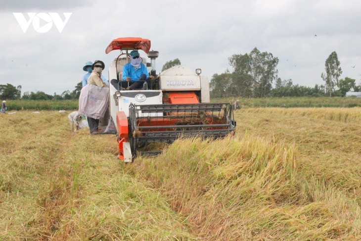 PNUD afirma su compromiso de acompañar a Vietnam en proceso de desarrollo