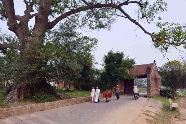 La experiencia del antiguo pueblo de Duong Lam en Hanói