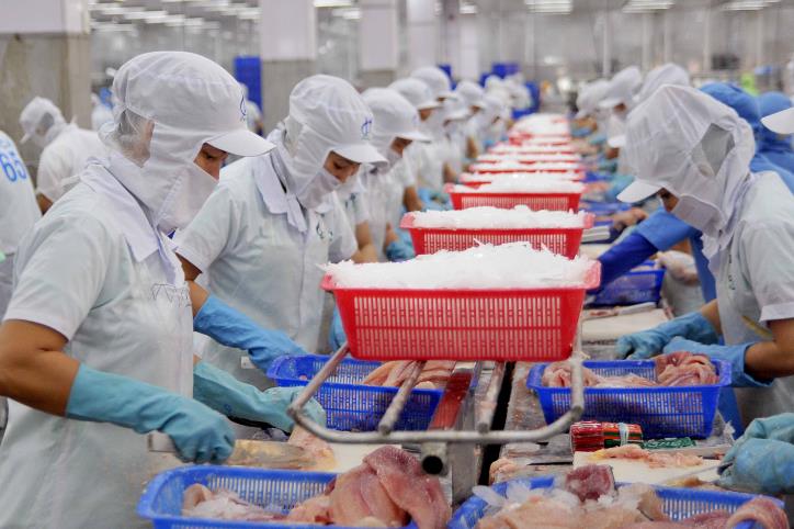 Las exportaciones de productos acuáticos de Vietnam a China crecerán este año