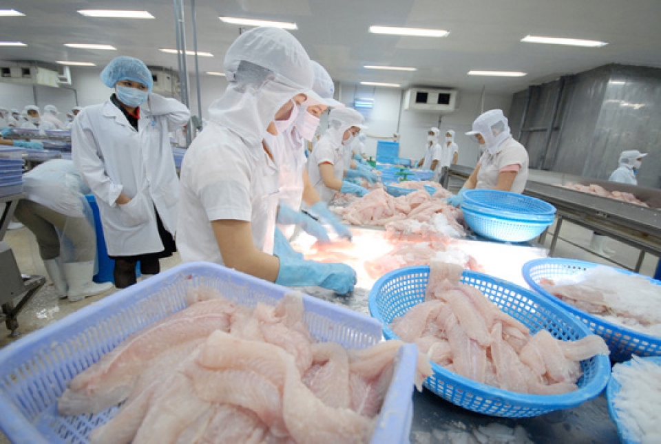 Estados Unidos reconoce calidad de pescado vietnamita Tra