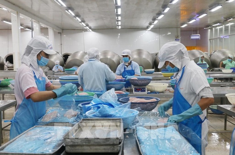 An Giang tiene como objetivo alcanzar casi 5 mil 300 millones de dólares en facturación de exportaciones para 2025