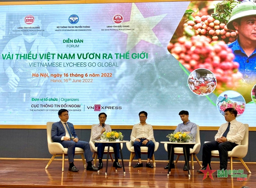 El lichi vietnamita entra en el mercado mundial