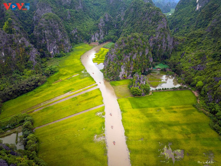 La belleza de Tam Coc en la estación de maduración del arroz