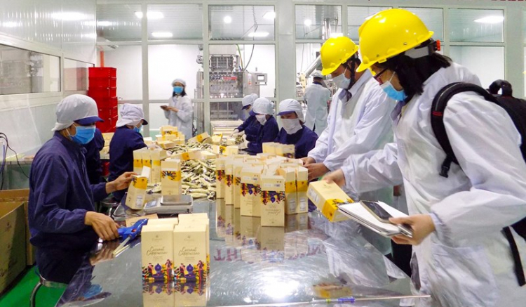 Los compromisos de la RCEP ayudan a establecer un gran espacio de comercio electrónico en Asia