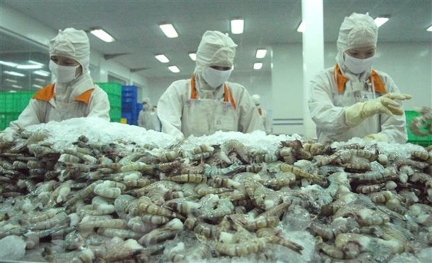 Bielorrusia desea construir una asociación estratégica con Vietnam