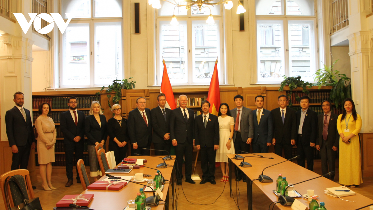 Vietnam refuerza la cooperación educativa con Hungría