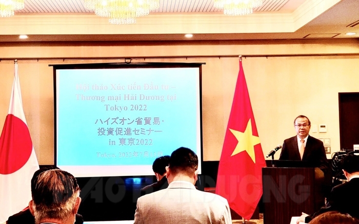 Hai Duong fomenta la promoción comercial en Japón
