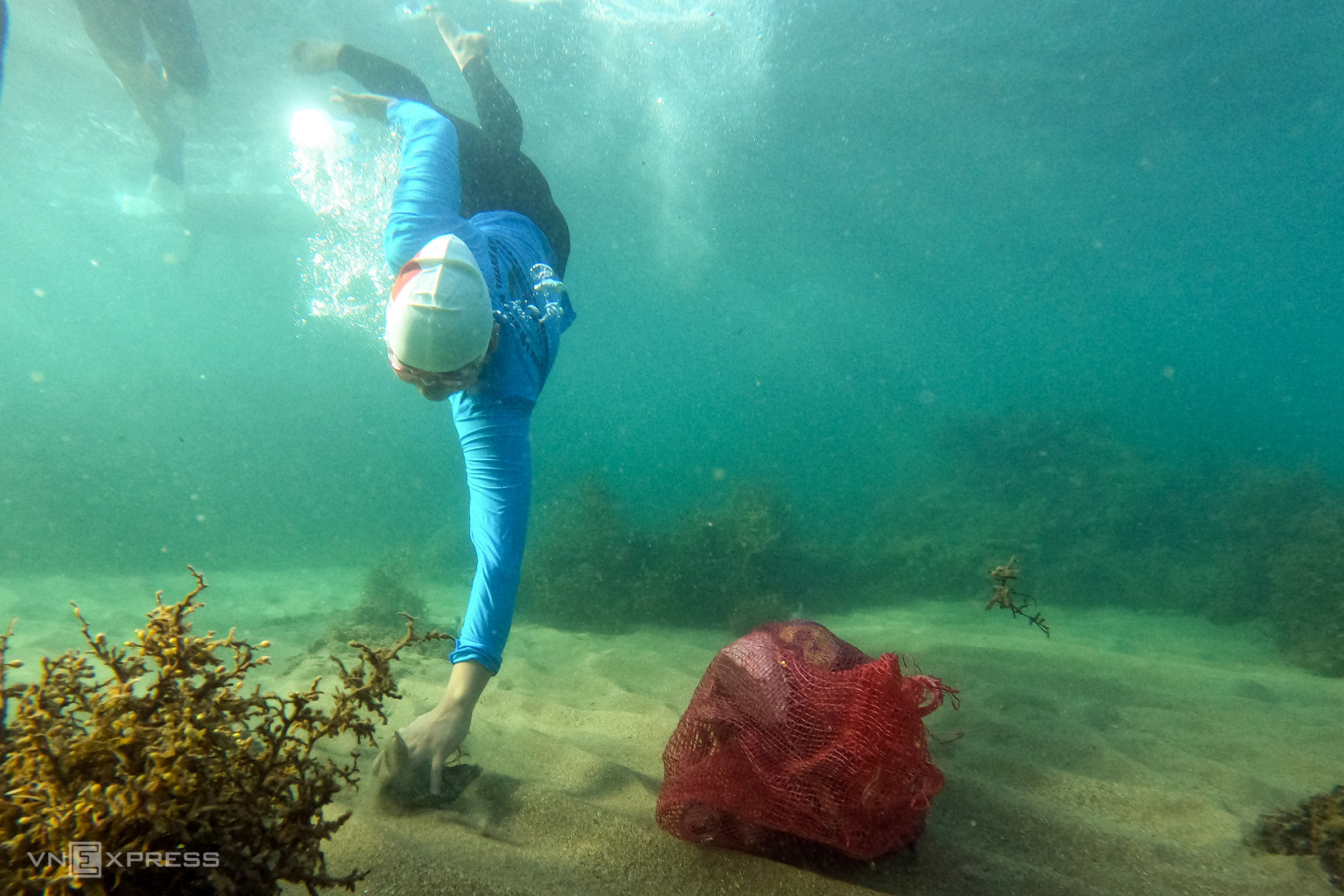 El club de natación de Da Nang recolecta basura del fondo marino para proteger los corales