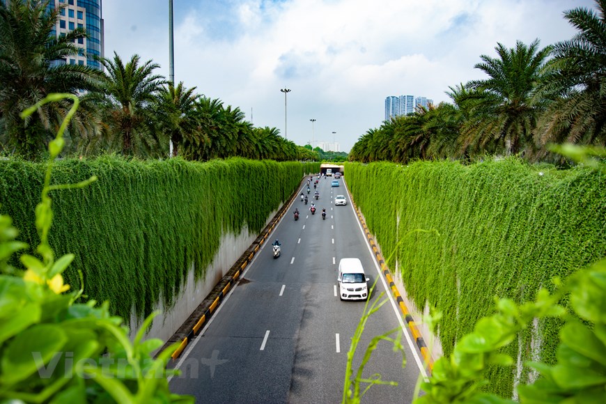 El paso subterráneo de vegetación de Hanói refresca el calor del verano