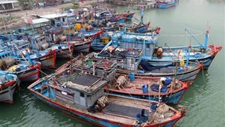 Localidades vietnamitas lideran clasificaciones nacionales