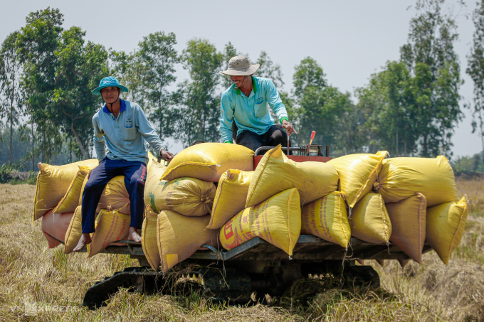 Las exportaciones de arroz de Vietnam alcanzan un récord