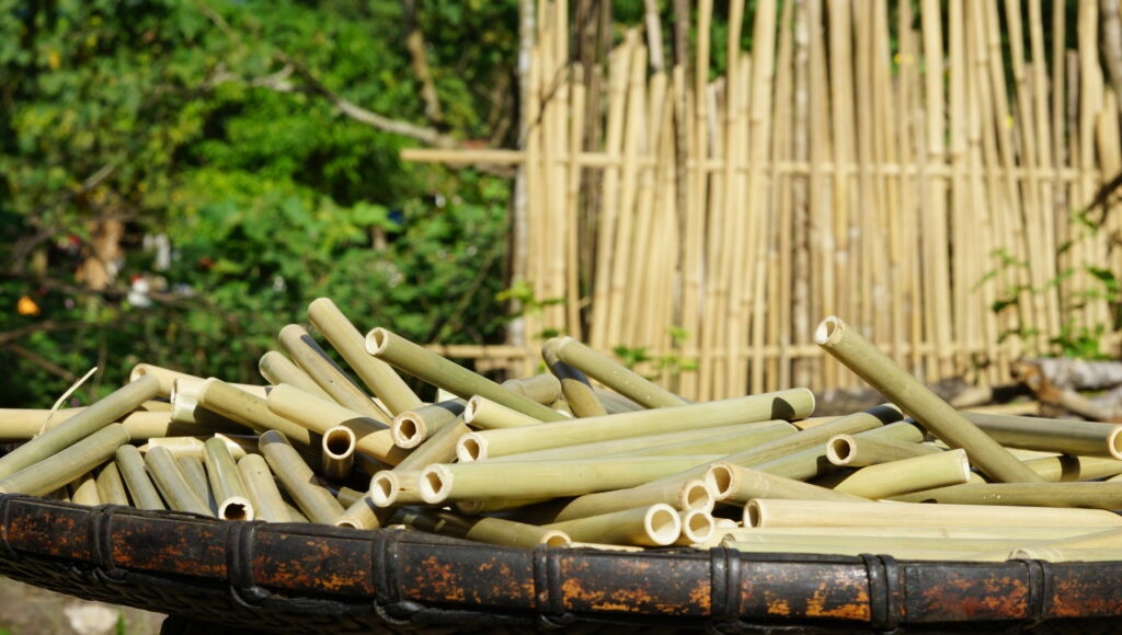 Comienzan los preparativos para la creación de la asociación de bambú de Vietnam