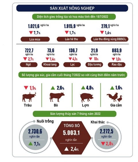 El panorama de la economía vietnamita en los primeros sietes meses de 2022