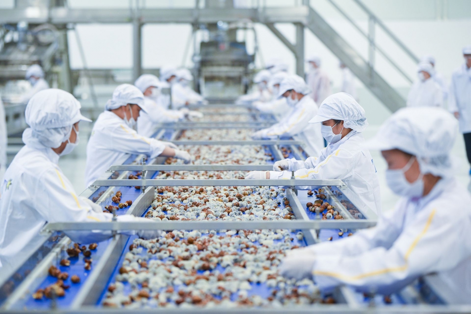 Extremar las precauciones al exportar a Italia