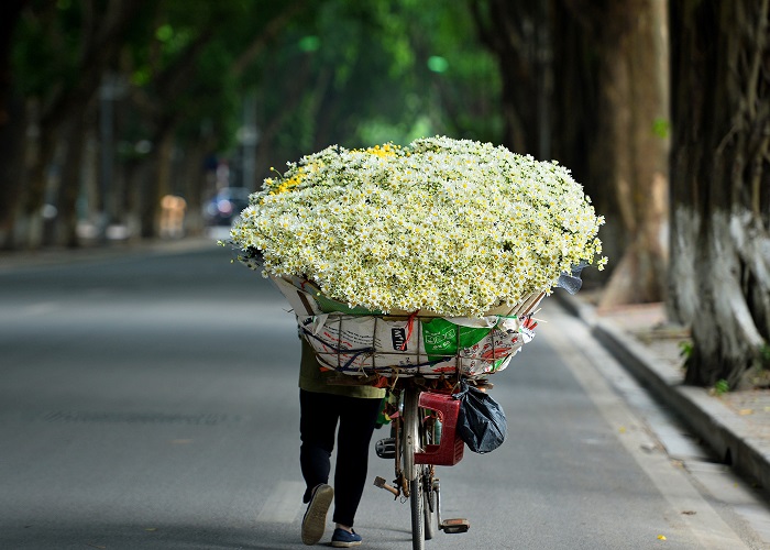 Seis experiencias imperdibles al visitar Vietnam