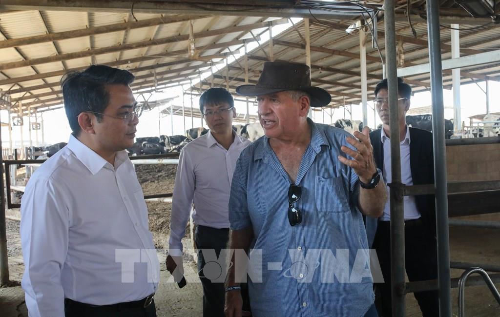 Vietnam estudia aplicar el modelo de economía colectiva de Israel