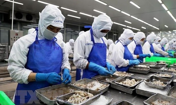 Desarrollo integral de mercado laboral una de las prioridades de Vietnam