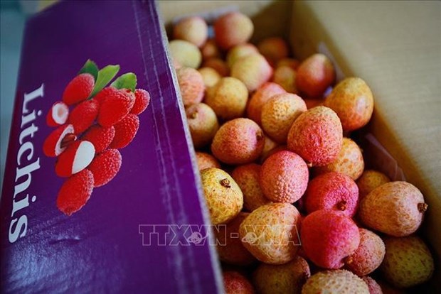 Desarrollar marcas para mejorar la competitividad de productos agrícolas vietnamitas