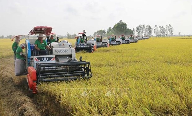 Agricultura ecológica una forma sostenible para el futuro
