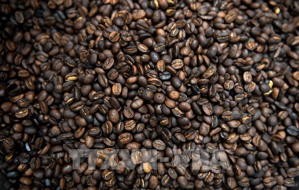 Brasil invita a empresas vietnamitas a asistir a la Semana Internacional del Café