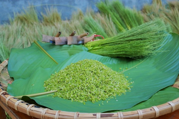 La fragancia del arroz glutinoso verde de otoño en las tierras altas de Bac Ha