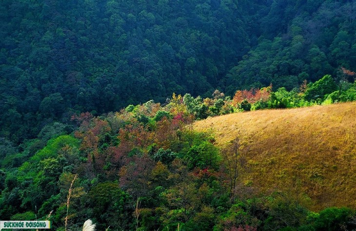 Descubre la montaña Phia Po, Lang Son