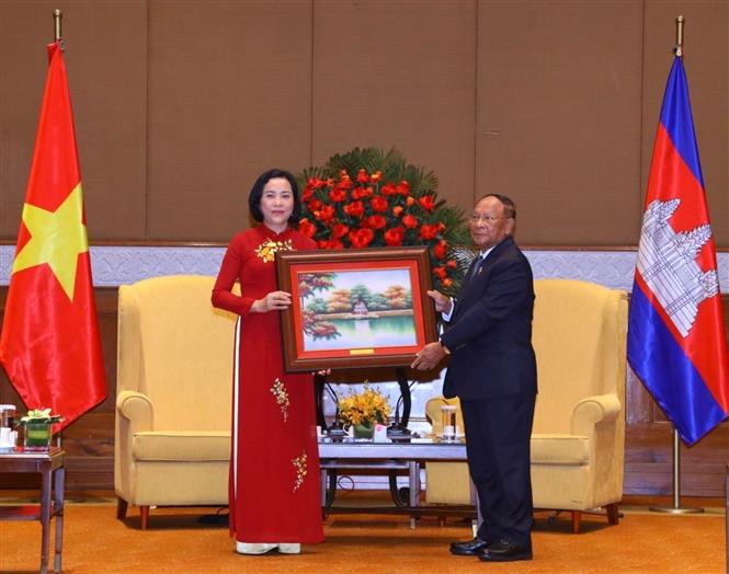 Vietnam y Camboya consolidan la solidaridad y apoyo mutuo